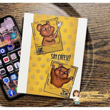 Quokka'n Up Stamp Set